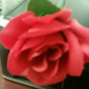 Meet your Posher, Modesta